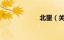 北里（关于北里）