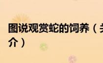 图说观赏蛇的饲养（关于图说观赏蛇的饲养简介）
