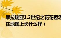 泰拉瑞亚1.2世纪之花花苞怎么找（泰拉瑞亚世纪之花花苞在地图上长什么样）