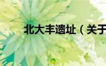 北大丰遗址（关于北大丰遗址简介）