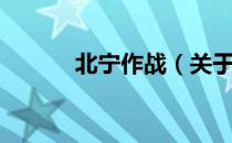 北宁作战（关于北宁作战简介）