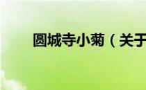 圆城寺小菊（关于圆城寺小菊简介）