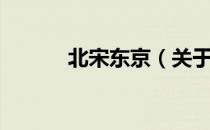 北宋东京（关于北宋东京简介）