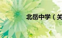 北岳中学（关于北岳中学）