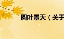 圆叶景天（关于圆叶景天简介）