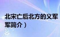 北宋亡后北方的义军（关于北宋亡后北方的义军简介）