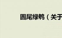 圆尾绿鹎（关于圆尾绿鹎简介）