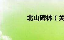 北山碑林（关于北山碑林）