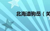 北海道驹岳（关于北海道驹岳）