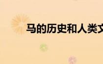 马的历史和人类文明发展紧密相连