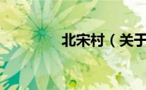 北宋村（关于北宋村简介）