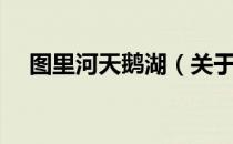 图里河天鹅湖（关于图里河天鹅湖简介）