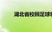 湖北省校园足球将有哪些大改革？