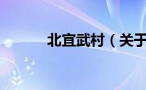 北宜武村（关于北宜武村简介）
