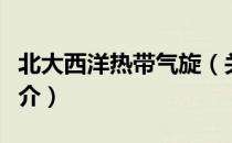 北大西洋热带气旋（关于北大西洋热带气旋简介）