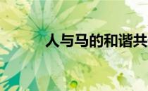 人与马的和谐共处实现完美组合