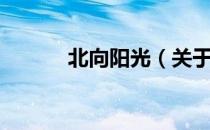 北向阳光（关于北向阳光简介）