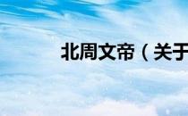 北周文帝（关于北周文帝简介）