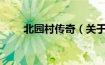 北园村传奇（关于北园村传奇简介）