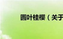 圆叶桂樱（关于圆叶桂樱简介）