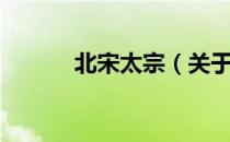北宋太宗（关于北宋太宗简介）