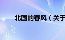 北国的春风（关于北国的春风简介）