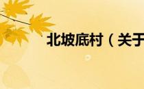 北坡底村（关于北坡底村简介）