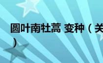 圆叶南牡蒿 变种（关于圆叶南牡蒿 变种简介）