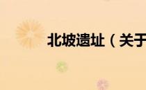 北坡遗址（关于北坡遗址简介）