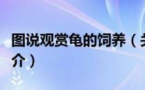 图说观赏龟的饲养（关于图说观赏龟的饲养简介）