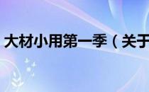 大材小用第一季（关于大材小用第一季简介）