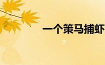 一个策马捕虾的比利时小镇