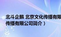 北斗企鹅 北京文化传播有限公司（关于北斗企鹅 北京文化传播有限公司简介）