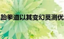 跆拳道以其变幻莫测优美潇洒的腿法著名于世
