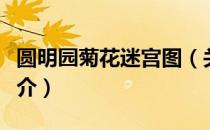 圆明园菊花迷宫图（关于圆明园菊花迷宫图简介）