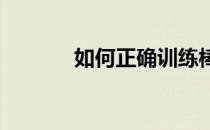 如何正确训练棒球的瑜伽传球