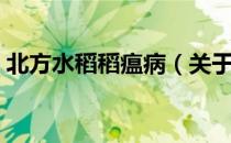 北方水稻稻瘟病（关于北方水稻稻瘟病简介）