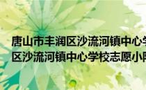 唐山市丰润区沙流河镇中心学校志愿小队（关于唐山市丰润区沙流河镇中心学校志愿小队）
