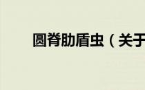 圆脊肋盾虫（关于圆脊肋盾虫简介）