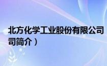 北方化学工业股份有限公司（关于北方化学工业股份有限公司简介）