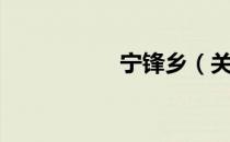 宁锋乡（关于宁锋乡）