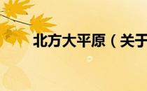 北方大平原（关于北方大平原简介）