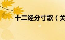 十二经分寸歌（关于十二经分寸歌）