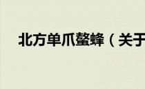 北方单爪螯蜂（关于北方单爪螯蜂简介）