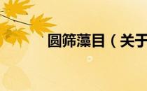 圆筛藻目（关于圆筛藻目简介）