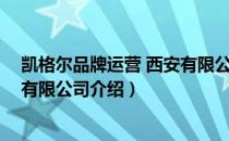 凯格尔品牌运营 西安有限公司（关于凯格尔品牌运营 西安有限公司介绍）