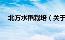 北方水稻栽培（关于北方水稻栽培简介）