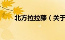 北方拉拉藤（关于北方拉拉藤简介）