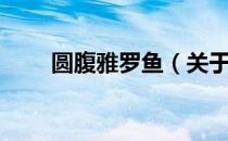 圆腹雅罗鱼（关于圆腹雅罗鱼简介）