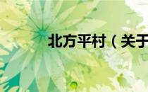北方平村（关于北方平村简介）